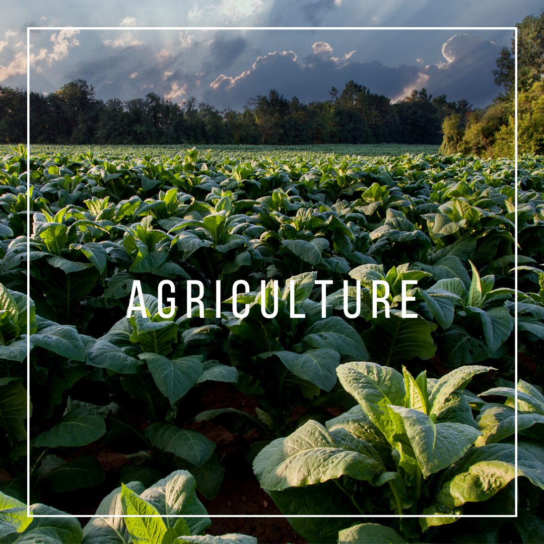 agriculture